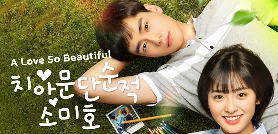 รีวิว A love so beautiful