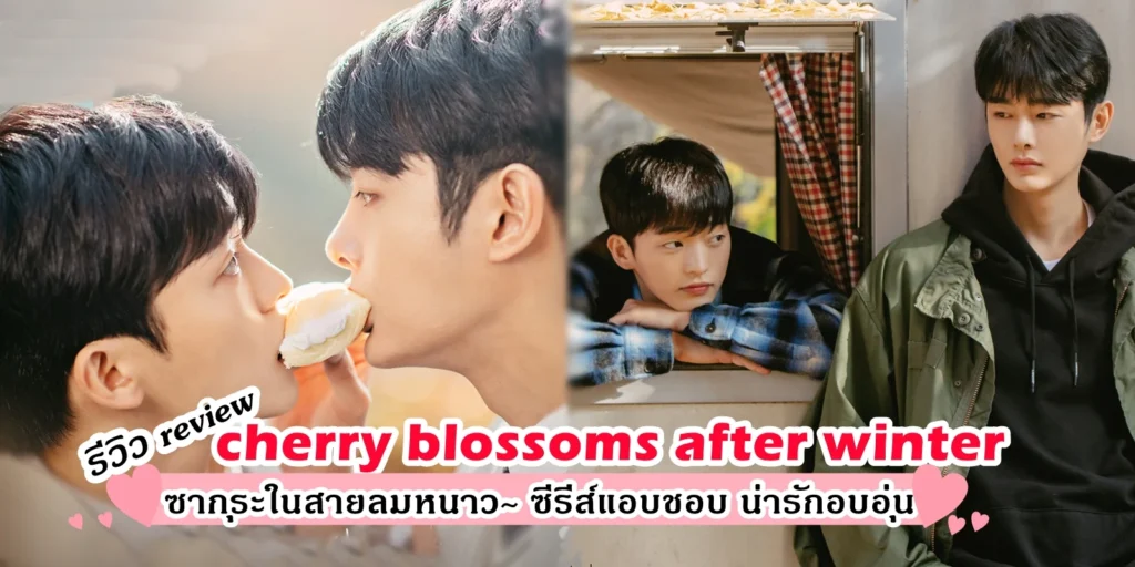 รีวิว ซีรีส์วาย Cherry Blossoms After Winter